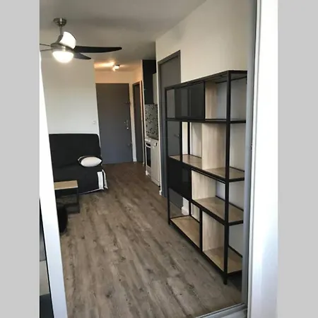 Apartment A 2 Pas De La Mer, T2 Cabine Piscine, Parking, Clim, Wifi